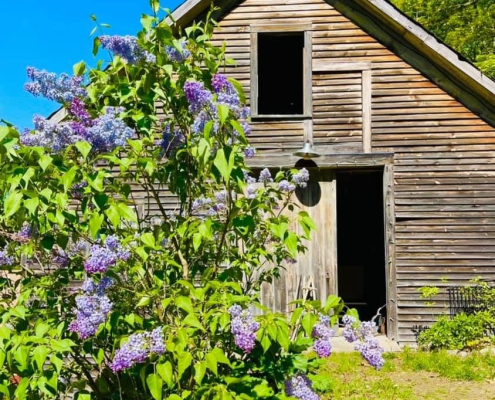 Declaring a Homestead in MA