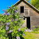Declaring a Homestead in MA